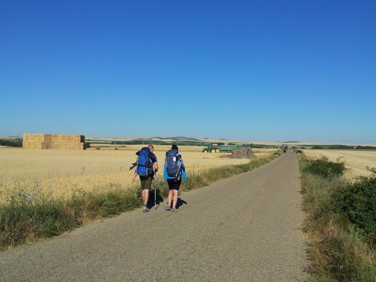 Camino (27)