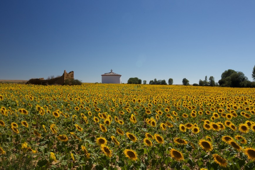 Camino de Santiago (18)