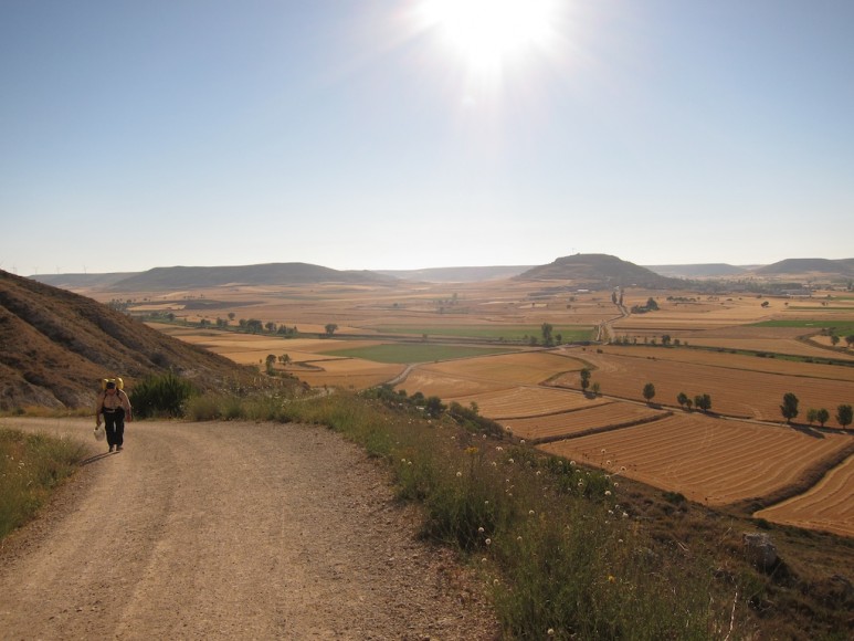 Camino de Santiago (4)