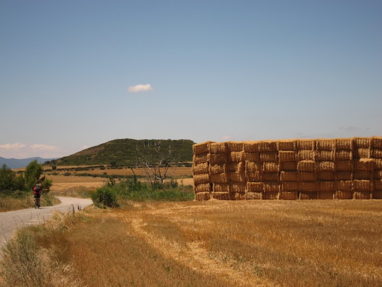 Camino de Santiago