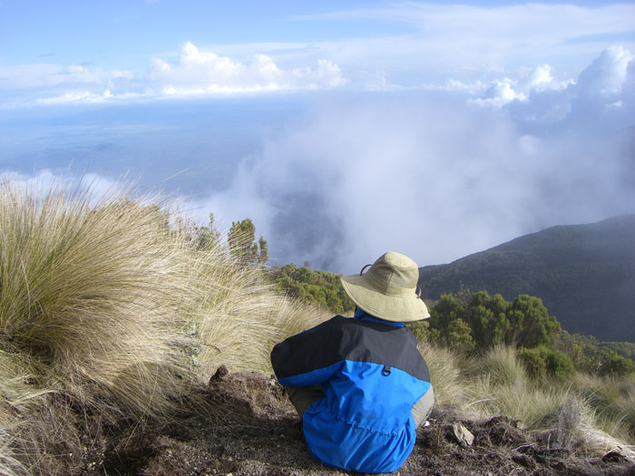 A view from Mount Meru