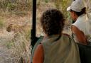 Cub passes the Land-Cruiser