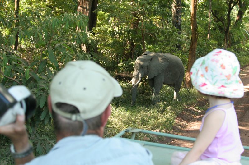 Dave and Jordy watching elephants