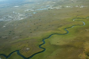 “The Wet and the Dry” – Botswana and Namibia