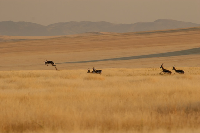 Namibia 13