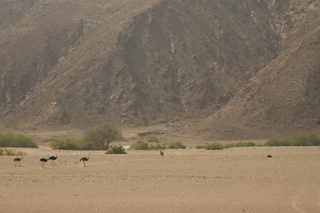 Namibia 29