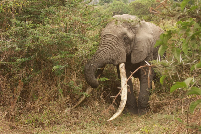 Tanzania 44