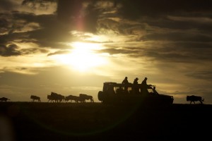 Sundowners on the roof