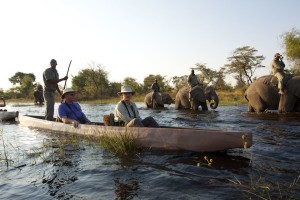 Mokoro ride with elephants