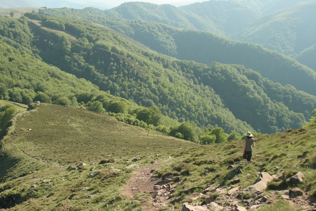 Pyrenees (14)