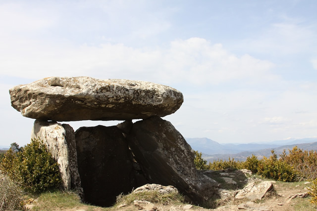 Pyrenees (42)