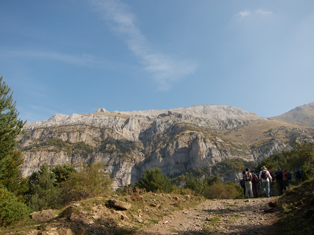 Pyrenees (43)