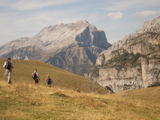 Pyrenees (44)