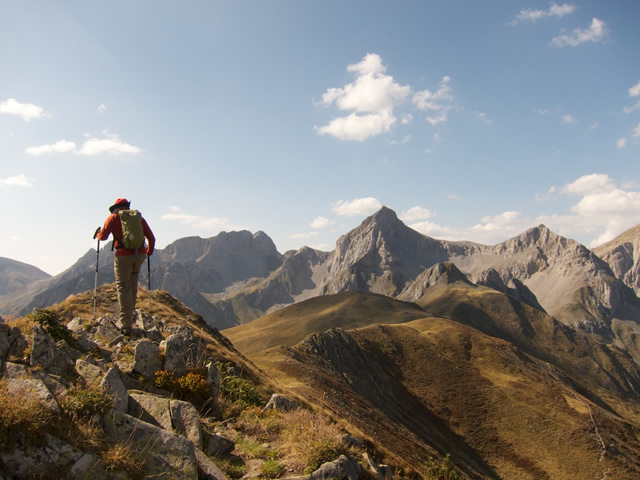 Pyrenees (47)