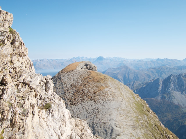 Pyrenees (50)