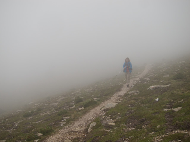 Pyrenees (57)