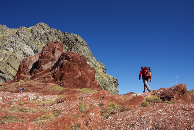 Pyrenees (64)