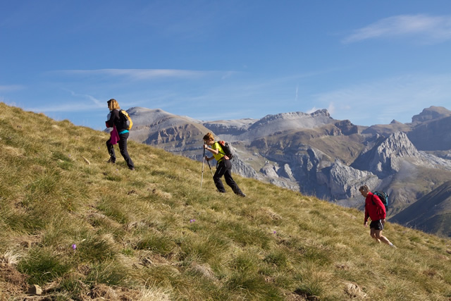 Pyrenees (67)