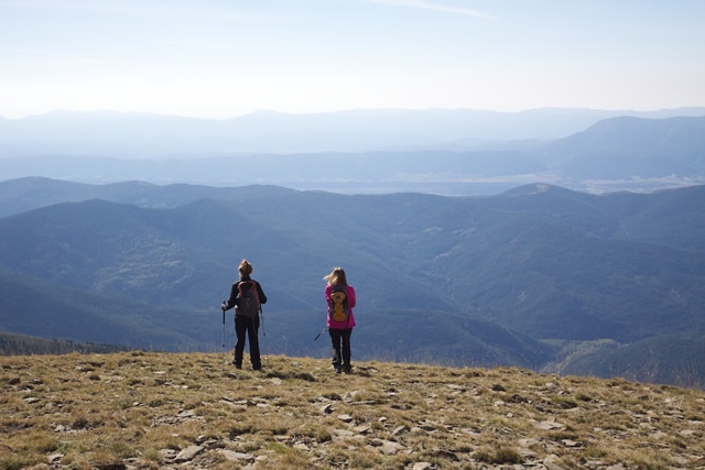 Pyrenees (68)