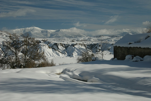 Pyrenees (9)