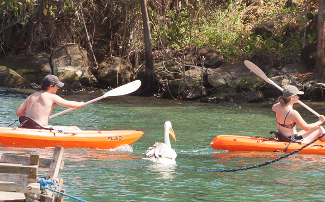 Big_bird on a kayak trip