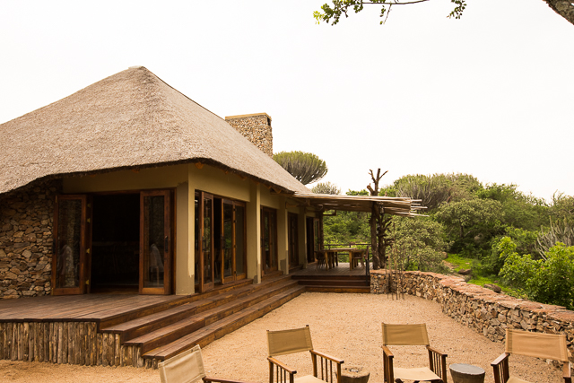 Mwiba Lodge library