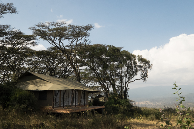 Entamanu Camp tent