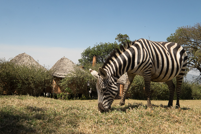 Ngorongoro Crater Lodge front