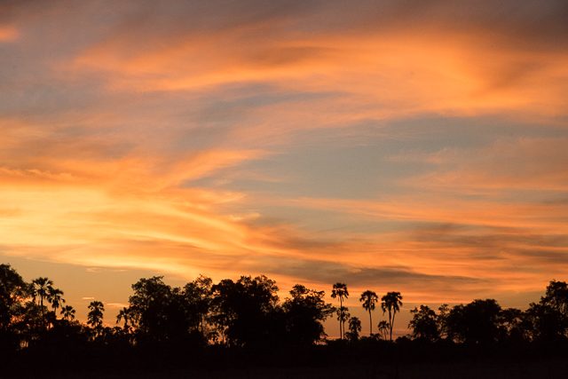 Okavango sunset