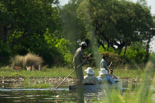 mokoro ride in the Delta