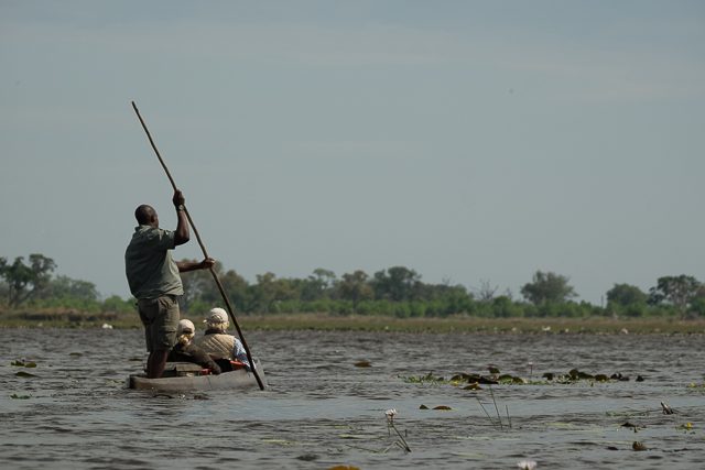 mokoro ride in the Delta 3