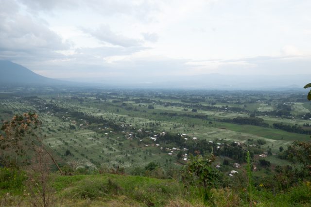_DSF0903_Rwandan fields