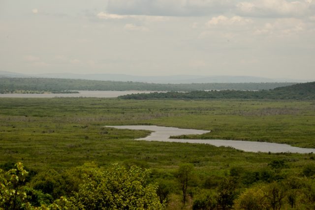 _DSF1169_Akagera
