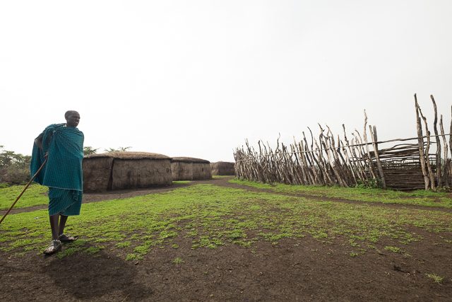 Maasai village_DSF9594