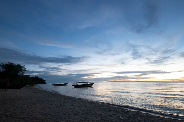 The shoreline at dusk