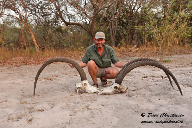 Dave with giant sable skulls