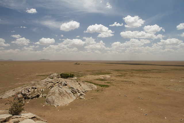 Serengeti view