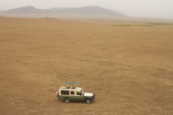 Serengeti game drive