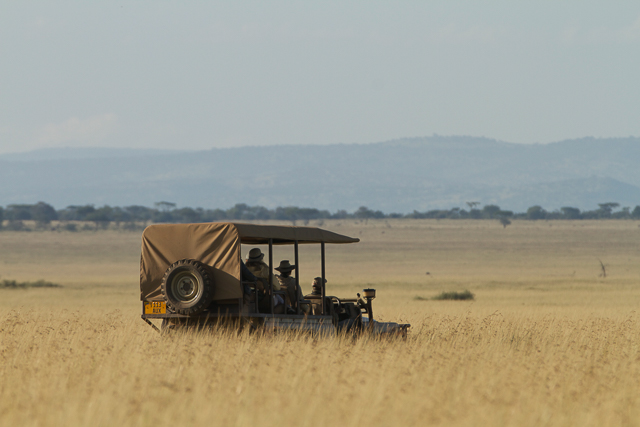 Serengeti game drive