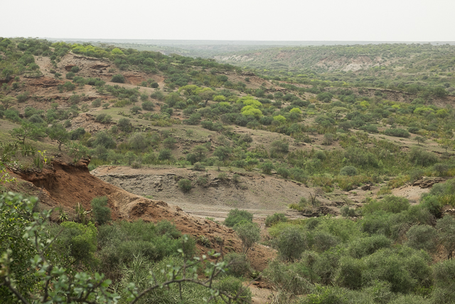 Olduvai after rain