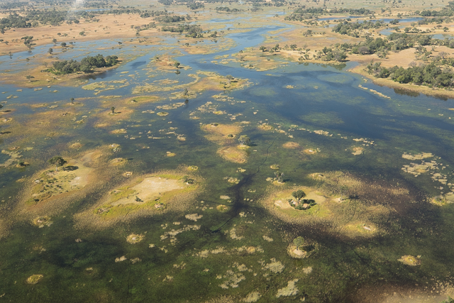 Okavango Delta