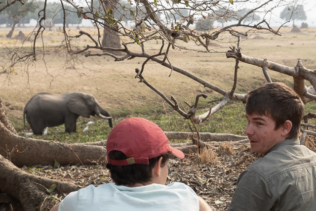 watching elephants pass below us while on a bush walk