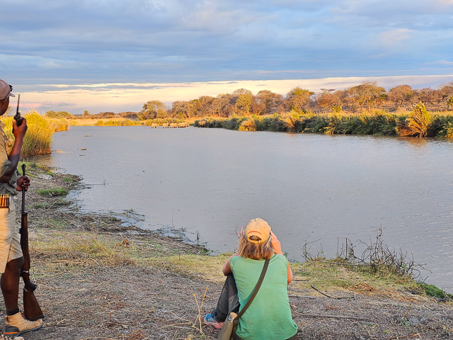 Watching elephants drinking in the Ruaha river