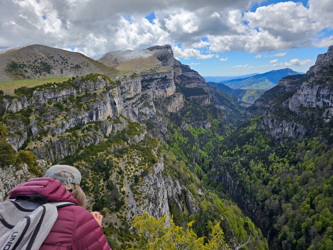 Looking into the high mountain gorge
