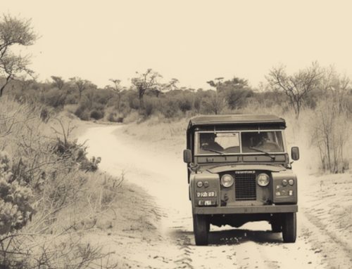 A childhood venture into the African bush