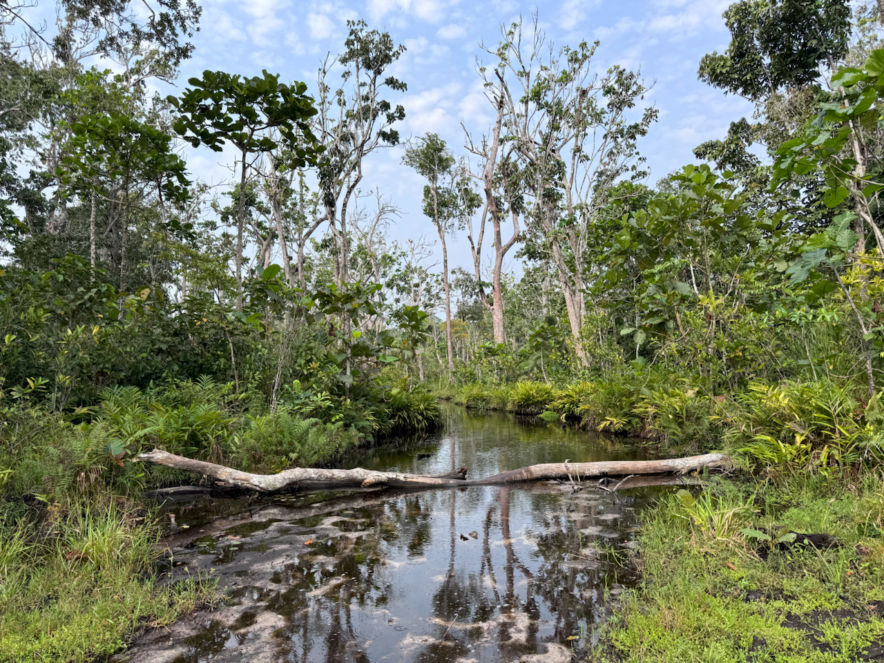 channel in the Congo channel in the Congo