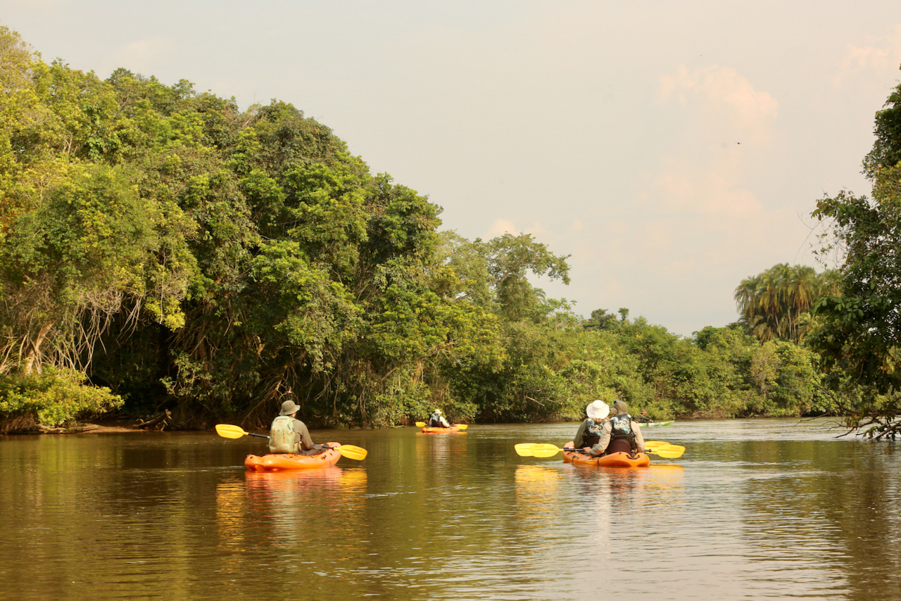 kayaking in Odzala kayaking in Odzala