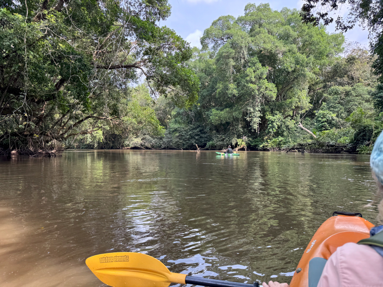 kayaking in Odzala kayaking in Odzala